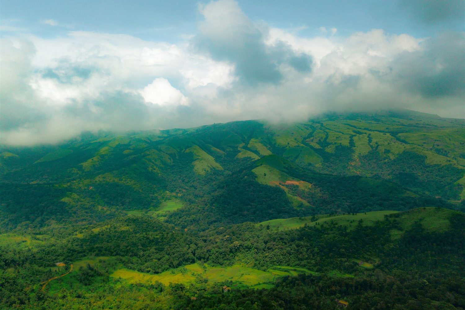 Coorg Индия